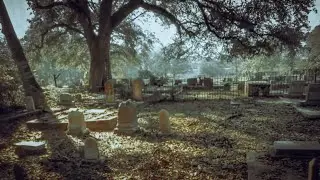 Cemetery Series: The Haunted Mystery of Springfield Cemetery in Louisiana