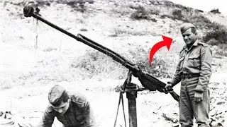 He took an anti-tank rifle and shot down a Junkers 87. Even the Germans didn't expect that!