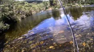 Fly Fishing Upper Island Bend, NSW, Australia