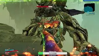 BEST AMARA ELEMENTAL BUILD BL3 (BROKEN)