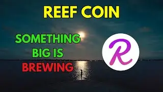 REEF COIN Price News Today, Technical Analysis &  Price Prediction 2024/2025