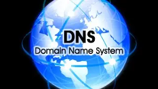 How To use the Dig Command on Linux