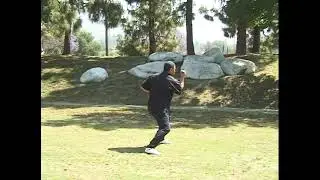 Grandmaster James Ibrao - Si Ping Kuen (Intro and Form)