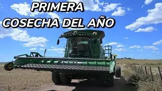 Arrancó el año - Steven Chá