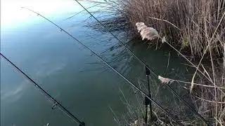 Spring session Carpfishing 🌼🎣      (📍Sandlake Latina )🎥