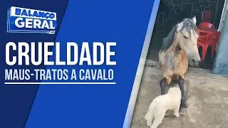 ADOLESCENTE DE 16 ANOS É APREENDIDO POR MAUS-TRATOS A CAVALO EM TRÊS PONTAS