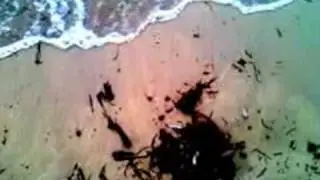 Sophie Hutchings - It Remains