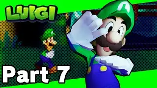 Luigi Jam