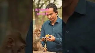 🐒🍑 Baby Monkey Eating Apricot | नन्हा बंदर खुबानी खाते हुएAnimal Shorts#shortsfeed #aishorts #yt