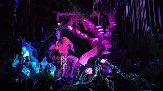 Part of the Pandora boat ride at Disney!!