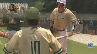 Cox Baseball punches ticket to States after 2-1 win over Great Bridge
