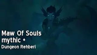 Maw Of Souls Dungeon Guide M+