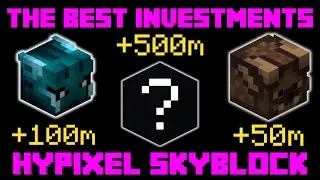 The BEST INVESTMENTS in Hypixel Skyblock!