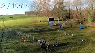 Babou Agility 20251127-101500