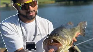 My Top 5 catches of 2025! 