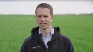 Wir leben Getreide Feld-Reporter | NW | J. Reinecke: Fahnenblattbehandlung und Sch&auml;dlingskontrolle!