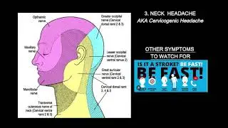 Neck Related Headache