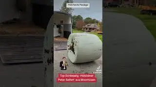 Birte holt Heulage bei den Top Schleswig- Holsteiner Peter Seifert