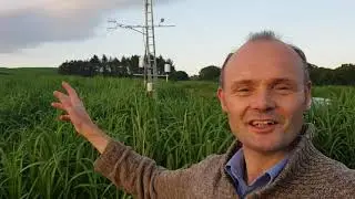 John Clifton Brown introduces miscanthus R&D at Aberystwyth University