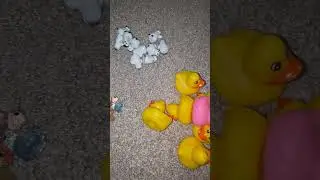 Mini things and rubber ducks math for kids to make them smart 