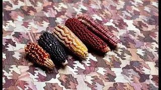 TOTOMOXTLE - Biomaterial made from Mexican heirloom Corn husks.