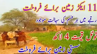 Agriculture land for sale in Pakistan | land for sale in Pakistan | #landforsale 