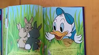 DAISY&rsquo;S NATURE HUNT. A DISNEY Story Book with PICTURES using the Ken Burns&rsquo; Effect.