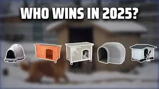 The Top 5 Best Dog House in 2025 - Must Watch Before Buying!