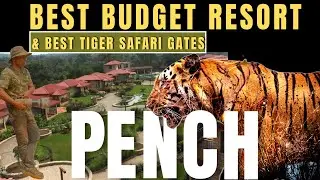 Where to stay in PENCH ? BEST Budget Resort with Tiger Safari Gate details