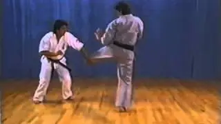 Enshin Karate Ashi Barai / Foot sweep