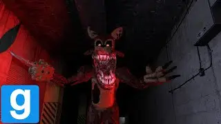 Twisted Foxy Is a PURE NIGHTMARE | FNAF Hide & Seek