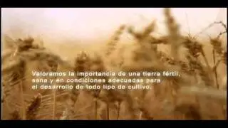 VIDEO INSTITUCIONAL MAINTER