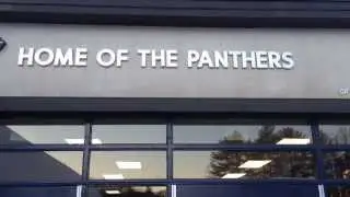Behind The Panther