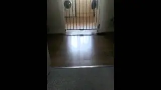 Funny baby sliding across floor