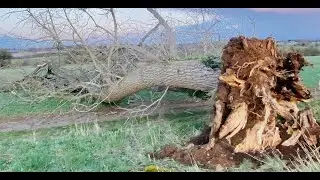 Ущерб, нанесенный ураганом «Юнис», установка ограждений на участке и все, что нужно знать о солне...