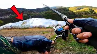 Pressured Lake - Catchable?