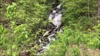 Logging Road Falls