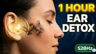 1 HOUR Ear DETOX: Clear Blocked Ears & Tinnitus Relief (528Hz Sound Therapy) 👂🎶