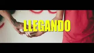 Little Homie - Llegando 💚🍍 (Video oficial) #dominicandrill