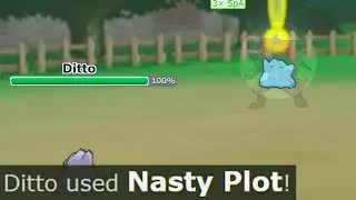 what if zoroark fought ditto as a ditto