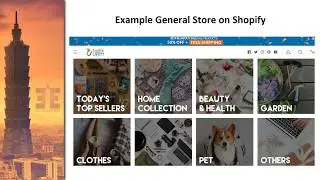 Type of Shopify Store (General or Niche?)