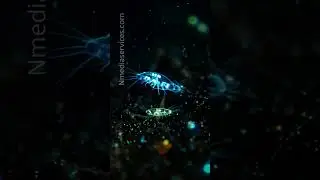 Microscopic Biological science visualization. #animation #biology #3dmedicalanimation #science