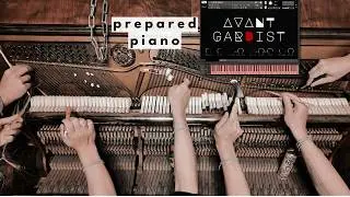Avant-Gardist - Prepared Piano VST by Pssst Instruments