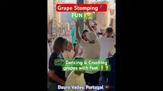Fun🤩Grape 🍇Stomping in Douro  Valley, Portugal 🇵🇹 #winery #dance #포도 #와인 #유럽여행 포르투갈 #재미있는 포도밟기