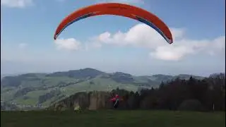 Beruflich durchstarten mit teamgold.ch