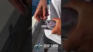 🎣 When Fishing Becomes a Masterpiece 🖌️🐟 #FishingArt #EpicCatch