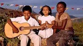 Black Orpheus #samba #brasil #brazil #blackorpheus