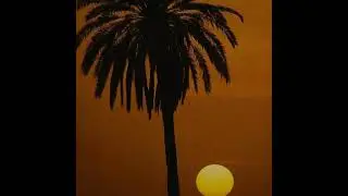 &oslash;zcvr - TULUM