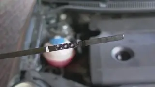 How to check your oil level