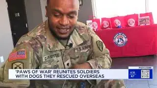U.S. Soldiers Reunited with Rescued Dogs in Brooklyn - Paws of War (2024) WPIX News